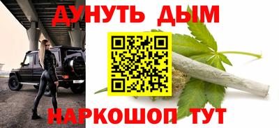 стаф Кингисепп