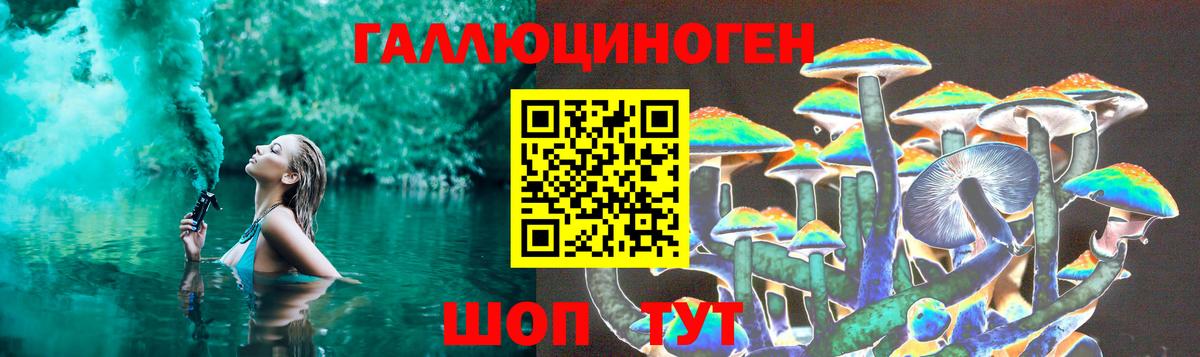 Кропоткин  Псилоцибиновые грибы Psilocybine cubensis  Вход с VPN  Галлюциногенные грибы Psilocybine cubensis 