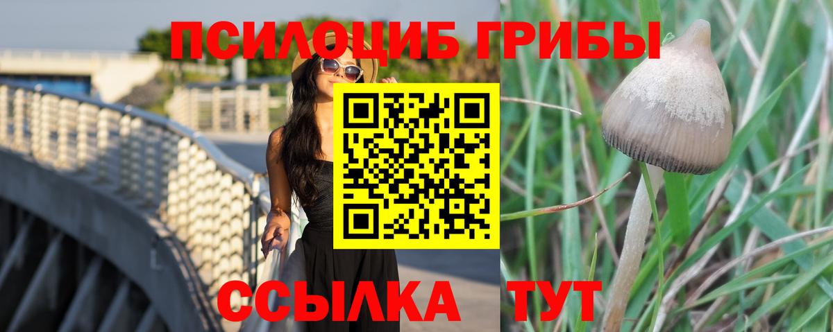 Псилоцибиновые грибы Magic Shrooms Кропоткин